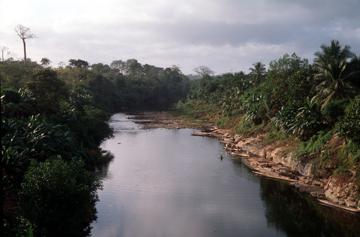 Panama Rio Ipéti