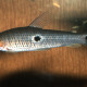 picture of Pseudanos trimaculatus
