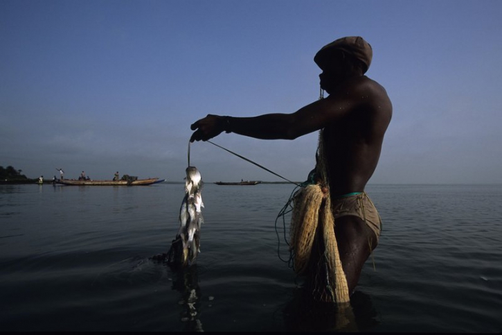 L&rsquo;archipel des Bijagos, 88 îles à la biodiversité foisonnante