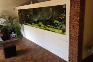 aquarium de la salle