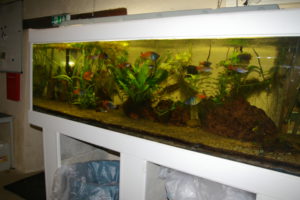 AQUARIUM 2