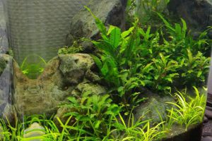 Nano 30 litres
