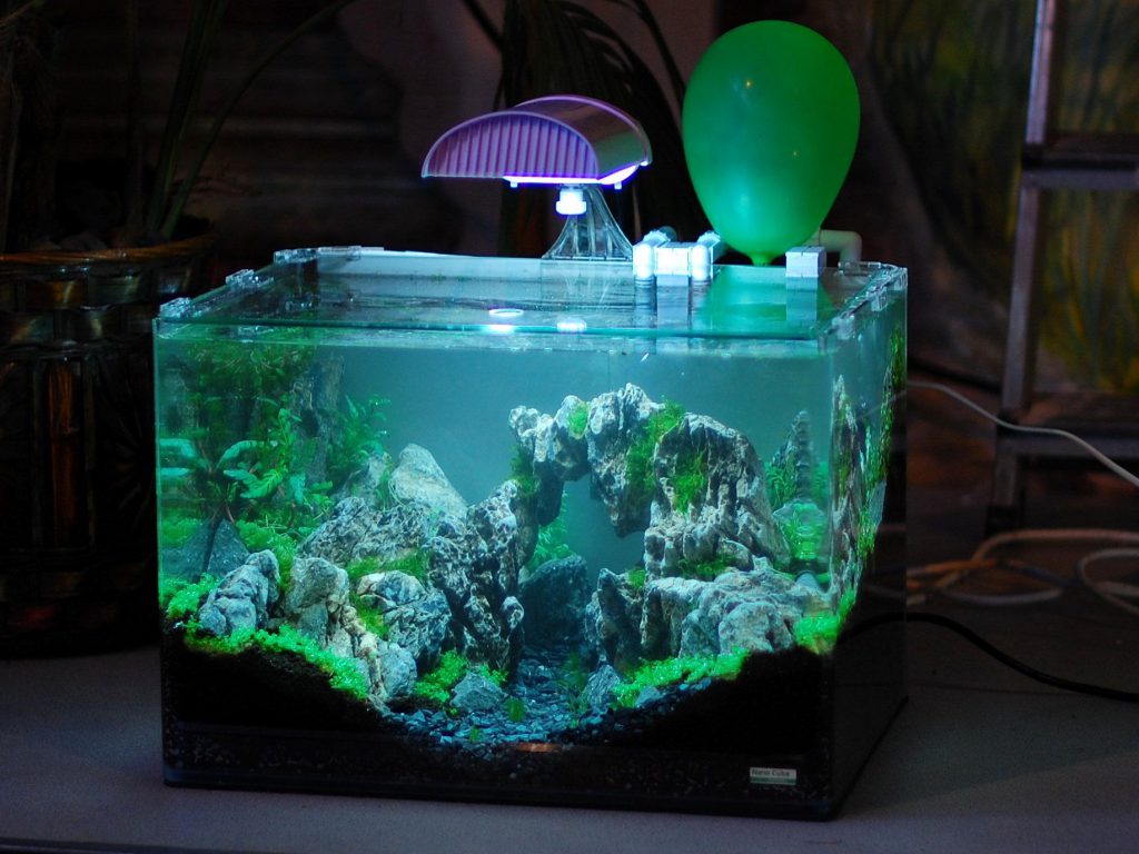 Eclairage aquarium : led, t5, t8, lampe éco, HQI, HQL