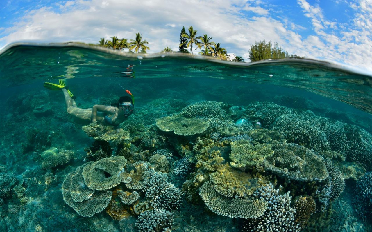 Plongee Pei – Centre de plongée à l'île de la Réunion