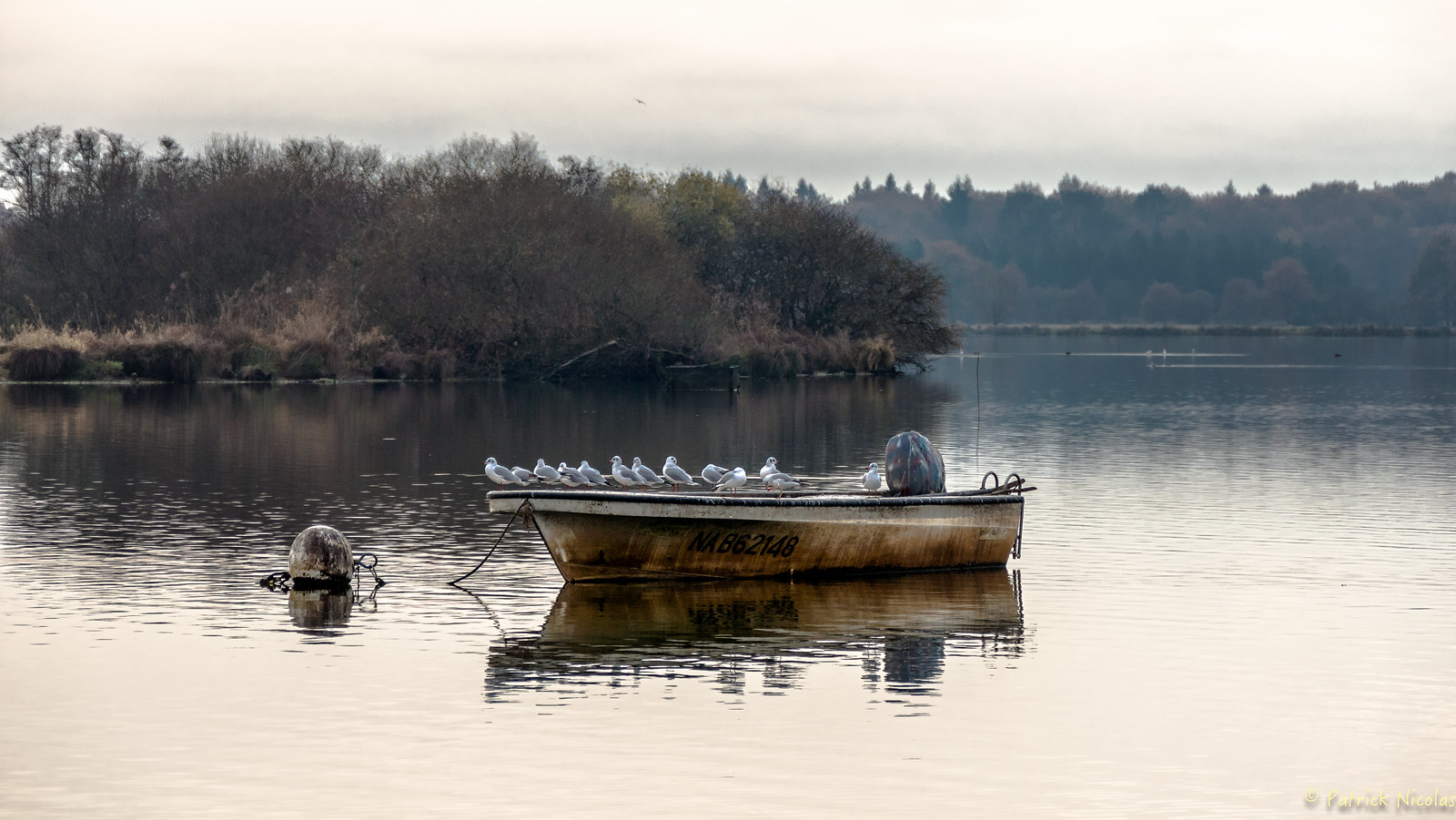 Lac de Grand-Lieu