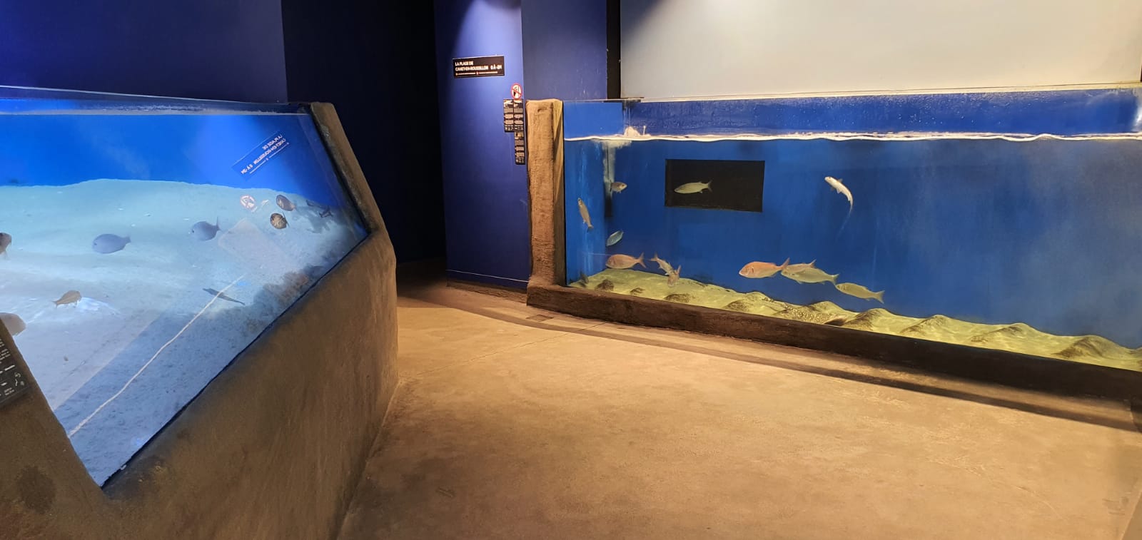 museumList