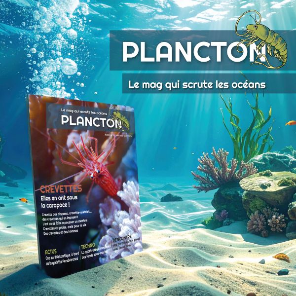 poster stickers aquarium